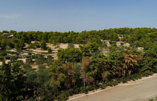 Iliana Exclusive Villa - Private Pool - Foto 41