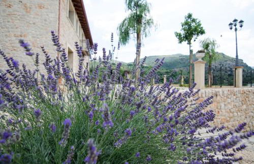 Casale Madeccia - Foto 9