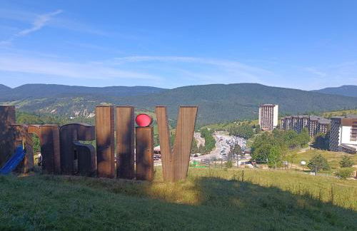 Studio Villard-de-Lans - Foto 2