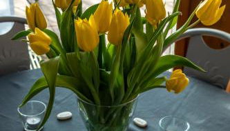 FeWo Litzendorf - Photo 3