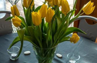 FeWo Litzendorf - Foto 3