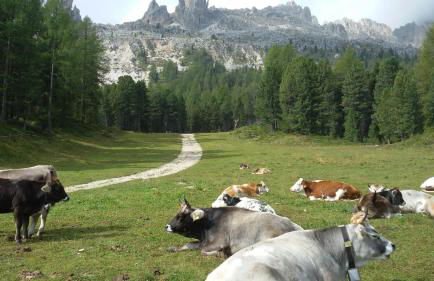 CasaMau Trilo - Foto 41