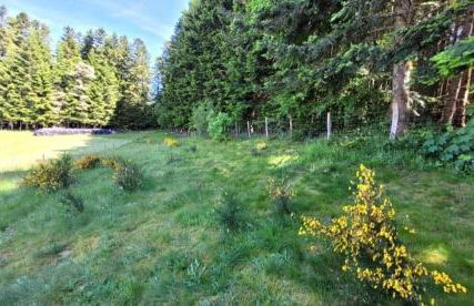 La Coquette du Bois - Wifi, Cosy, Familial, Calme, Bord de forêt - Foto 10