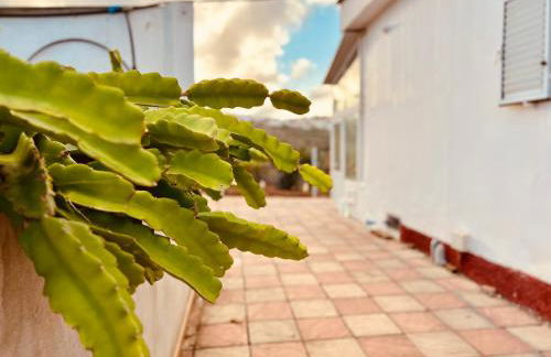 Refugio de la calma - Foto 39