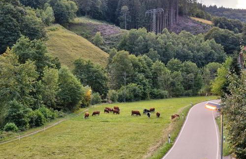 Ferienwohnung Vordere Halde - Foto 11