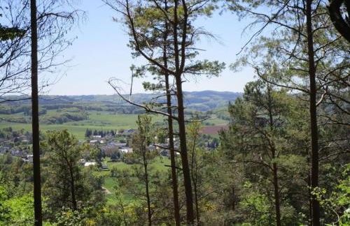 Holiday Apartment Anita Wald - Foto 33