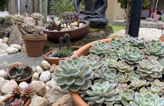 Cabanas Canasvieiras - Foto 9