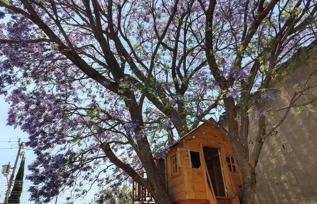 Hermosa casa con jardin y alberca - Foto 12