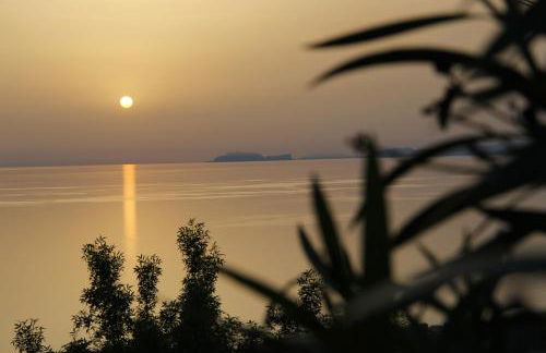 Casa Tartaruga - Foto 31