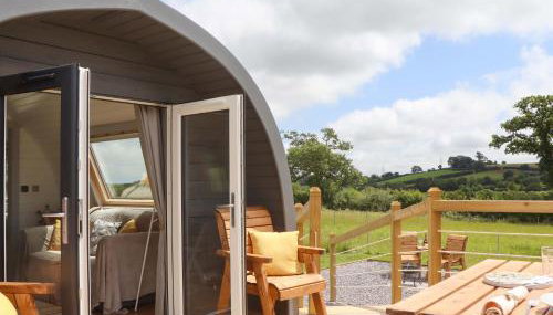 Under Oak Pod - Photo 4