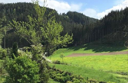 Waldbauernhof - Foto 8