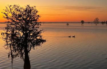 Lakefront Fishing and Grilling - Home Sweet Home! - Foto 27