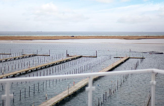 4 Personen Ferienhaus in Wendtorf - Foto 42