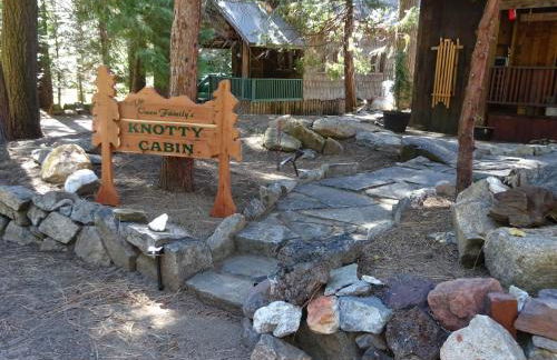 The Knotty Cabin in Kings Canyon National Park - Foto 40