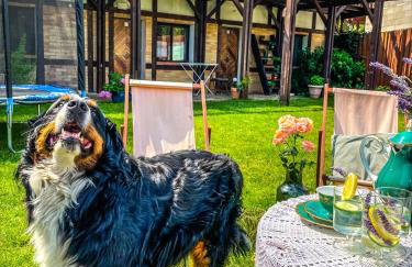 Wrzosowy Młyn - Twoje miejsce nad Jeziorem - Foto 27