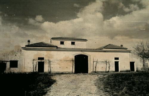 Taverna Ferrigno - Foto 14