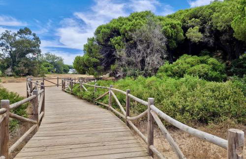 SR Carib Playa Marbella - Photo 41