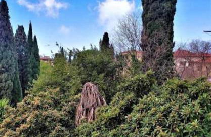 Casa Raffaello Careggi - Photo 23