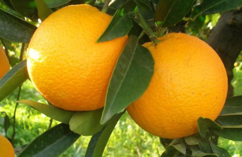 Terrazza sul Mediterraneo - Foto 23