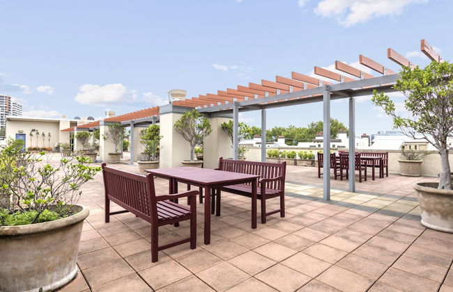 Nesuto Chippendale - Foto 20