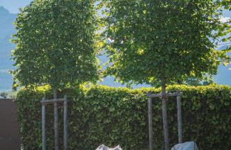 Villa Residence Franziskus - Foto 60