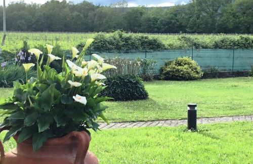 Villa Casa Gemelli - Foto 48