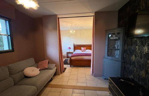 Le cocon en Sologne, Châteaux, Zoo de Beauval, Piscine, WIFI, 2 chambres, 3 lits, 2 sdb - Foto 20
