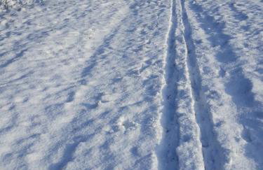 Agroturystyka Burylowka - Foto 40