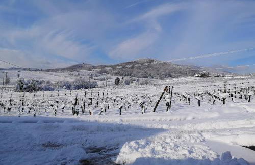 L'Altenberg - Foto 41
