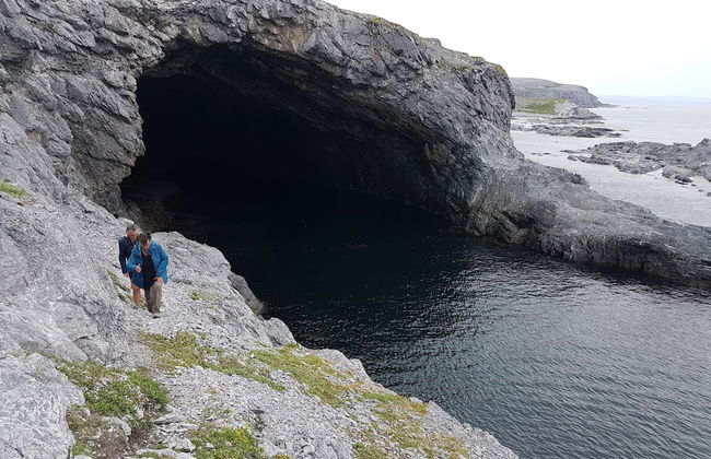 Burnt Cape Cabins - Foto 32