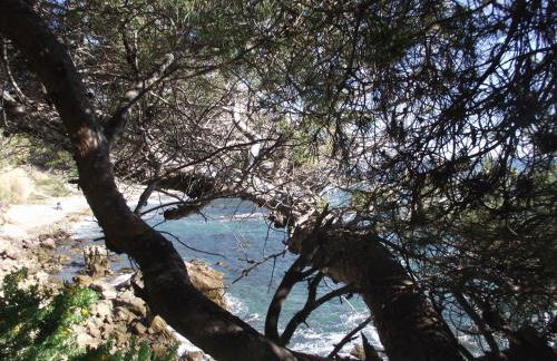 T2 climatisé à 500m de la plage sur la presqu'ile de Saint Mandrier sur Mer - Photo 25