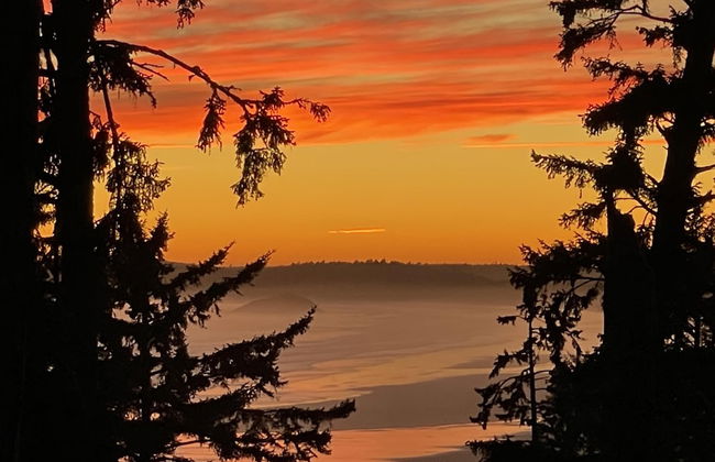 Love Shack - Photo 16