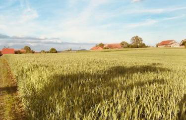 Polne domki na Mazurach - Foto 12