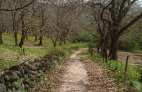 Renaissance Boutique House - Foto 57