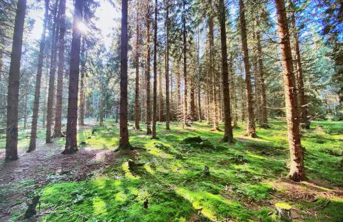 The Bridge - between NewZealand & OreMountains - Foto 62