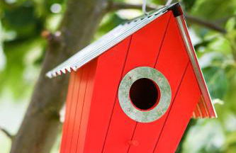 Apartamentos Rurales L´Abiseu - Photo 29