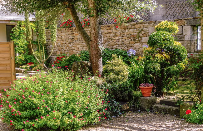 Manoir des Halles - Foto 4