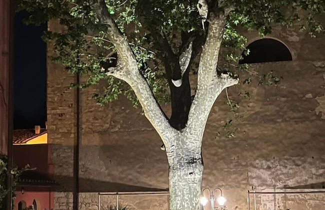 Il Castello di San Ruffino - Foto 69