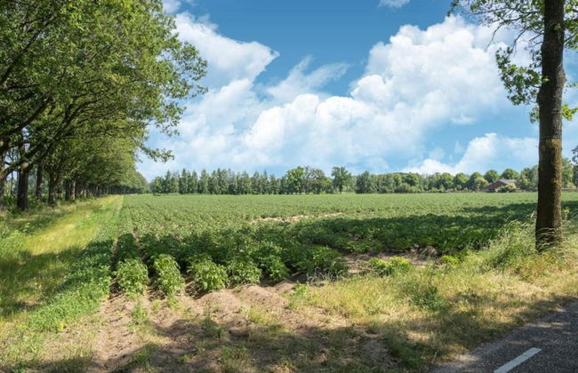 Apartment in Eibergen Near Zwillbrocker Venn - Foto 36