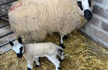 Tullyard House - Foto 23