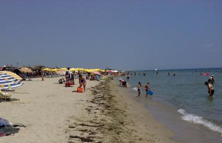 Petite Sirene Studios - Foto 21