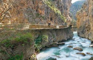 Cueva El Murallon Benamaurel - Foto 38