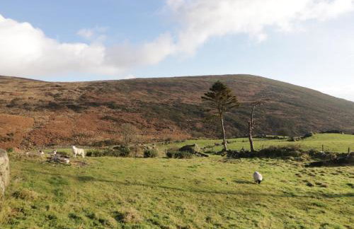 Dan White's Cottage - Photo 24