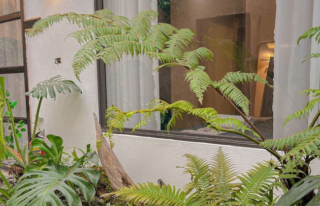 LoveHouse Homstay Sapa - Foto 4