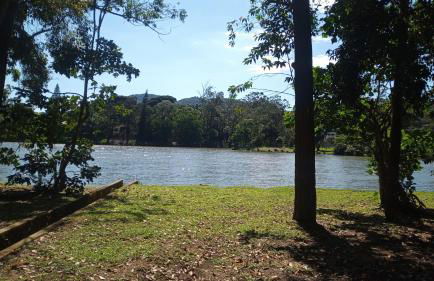 Kitnet Aurora - Foto 34