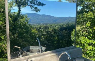 Mazet avec piscine, vue Ventoux - Foto 25