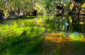 Arca dos Animais - Farming & SPA - Foto 38