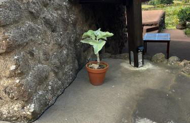 Dammusi IL SERRALH -Pantelleria- - Foto 80