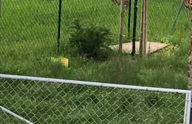 Pension Ute - Foto 4