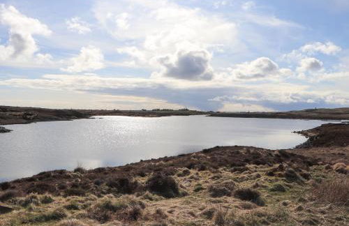 North Light Studio - Foto 19